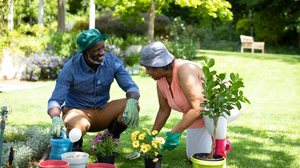 As plantas necessitam de cuidados especiais no inverno (Imagem: wavebreakmedia | Shutterstock)