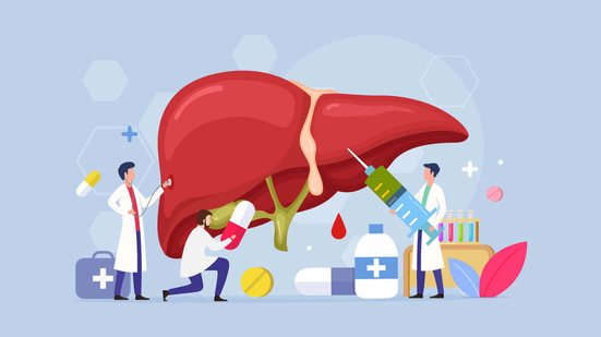 O fígado tem papel essencial no funcionamento do organismo, transformando nutrientes em energia e eliminando toxinas  (Imagem: freshcare | Shutterstock)