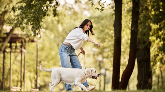 Com estratégias simples, é possível otimizar o tempo e manter todos os cuidados com os pets sem abrir mão da qualidade (Imagem: LightField Studios | Shutterstock)