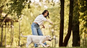 Com estratégias simples, é possível otimizar o tempo e manter todos os cuidados com os pets sem abrir mão da qualidade (Imagem: LightField Studios | Shutterstock)