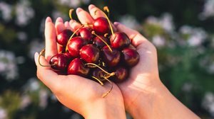 A cereja é uma fruta rica em nutrientes benéficos para a saúde (Imagem: Anton Dios | Shutterstock)