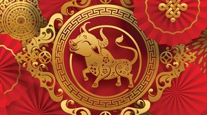 Os nativos de Búfalo, geralmente, são pessoas conservadoras (Imagem: Siam Vector | Shutterstock)