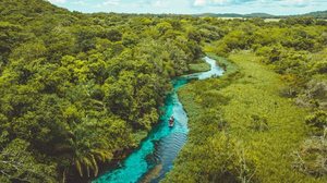 Bonito está localizado no Mato Grosso do Sul (Imagem: Paulo Henrique Pigozzi | Shutterstock)