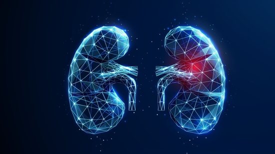 A síndrome nefrótica compromete o processo de filtração do sangue nos rins (Imagem: Butusova Elena | Shutterstock)