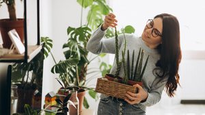 Com a chegada do outono, é necessário dar atenção especial às plantas (Imagem: PH888 | Shutterstock)