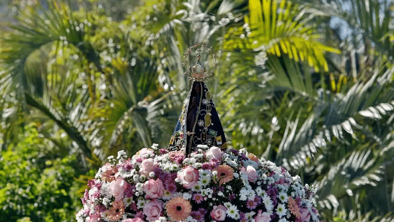 Dia de Nossa Senhora Aparecida: conheça flores para homenagear a santa