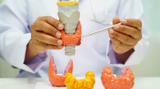 A tireoide funciona como uma espécie de “central reguladora” do organismo, influenciando diferentes funções essenciais do corpo por meio da produção hormonal  (Imagem: superbeststock | Shutterstock)