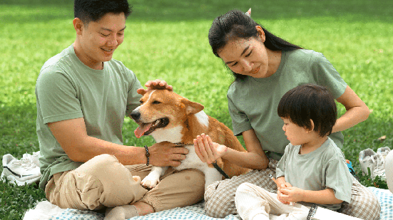 Estudos vêm mostrando que conviver com um pet pode estar associado a diferentes benefícios à saúde (Imagem: Pranithan Chorruangsak | Shutterstock)