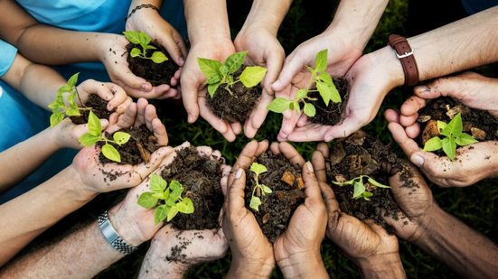 Atitudes simples no dia a dia ajudam a preservar o meio ambiente (Imagem: Rawpixel.com | Shutterstock)