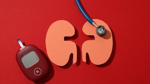 Diabetes e hipertensão arterial estão entre os principais fatores de risco para o desenvolvimento da doença renal crônica (Imagem: AtlasStudio | Shutterstock)
