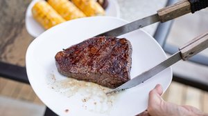 A dieta carnívora é considerada restritiva e desequilibrada (Imagem: KieferPix | Shutterstock)