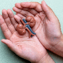 A doença renal atinge mais de 20 milhões de brasileiros, mas ainda desperta dúvidas (Imagem: izzuanroslan | Shutterstock)