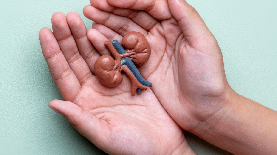 A doença renal atinge mais de 20 milhões de brasileiros, mas ainda desperta dúvidas (Imagem: izzuanroslan | Shutterstock)
