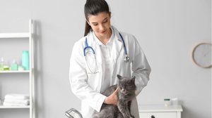 O monitoramento frequente e o acompanhamento com nefrologistas são os maiores aliados para a longevidade do animal (Imagem: Pixel-Shot | Shutterstock)