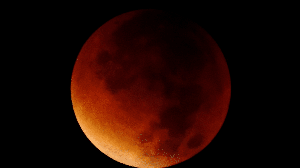 O eclipse lunar em Peixes favorecerá a limpeza material, emocional e espiritual (Imagem: AnastasiiaM | Shutterstock)