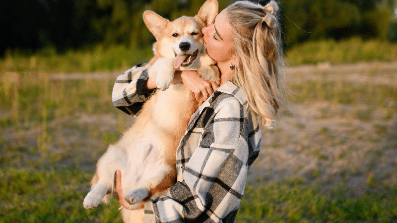 Encostar o focinho na mão e colocar a pata sobre o tutor: veja 6 sinais de que o cachorro quer carinho