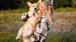 Os cachorros utilizam principalmente a linguagem corporal para se comunicar (Imagem: Yury Nikolaev | Shutterstock)