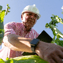 A formação do engenheiro agrônomo combina conhecimentos de ciências agrárias, gestão e inovação (Imagem: Eloy Vidal Segura | Shutterstock)