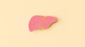 O excesso de gordura no corpo cria um ambiente propício para o excesso de gordura no fígado (Imagem: Vita_Dor | Shutterstock)