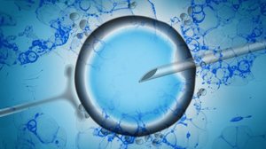 A reprodução assistida post-mortem é uma técnica menos comum e permite o uso de material genético de pessoas falecidas (Imagem: BGStock72
| Shutterstock)