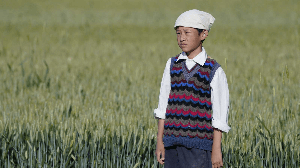 Com muita música, ação e histórias envolventes, a semana chega com estreias que prendem e emocionam (Imagem: Reprodução digital | Autoral Filmes)