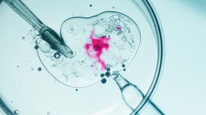 A Fertilização in Vitro ainda é cercada por dúvidas e expectativas irreais (Imagem: Rohane Hamilton | Shutterstock)