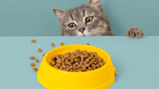 Algumas atitudes podem ajudar a estimular o apetite do animal (Imagem: plutmaverick | Shutterstock)