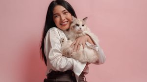 Algumas raças de gatos se destacam justamente por serem sociáveis e afetuosas (Imagem: Reezky Pradata | Shutterstock)