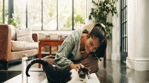 Embora os gatos sejam animais independentes, eles também apreciam momentos de carinho e atenção (Imagem: PeopleImages | Shutterstock)