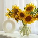 Voltado naturalmente para a luz, o girassol simboliza energia positiva e contribui para tornar o ambiente mais harmonioso (Imagem: Pixel-Shot | Shutterstock)