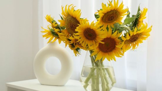 Voltado naturalmente para a luz, o girassol simboliza energia positiva e contribui para tornar o ambiente mais harmonioso (Imagem: Pixel-Shot | Shutterstock)