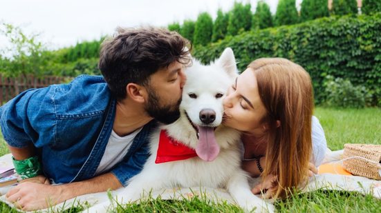 Guarda compartilhada requer atenção e dedicação dos tutores para manter o bem-estar dos pets (Imagem: YAKOBCHUK VIACHESLAV | Shutterstock)