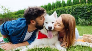 Guarda compartilhada requer atenção e dedicação dos tutores para manter o bem-estar dos pets (Imagem: YAKOBCHUK VIACHESLAV | Shutterstock)