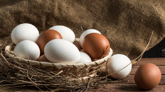 O armazenamento adequado ajuda a preservar as características e a qualidade dos ovos (Imagem: Irina999petrova | Shutterstock)