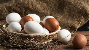 O armazenamento adequado ajuda a preservar as características e a qualidade dos ovos (Imagem: Irina999petrova | Shutterstock)