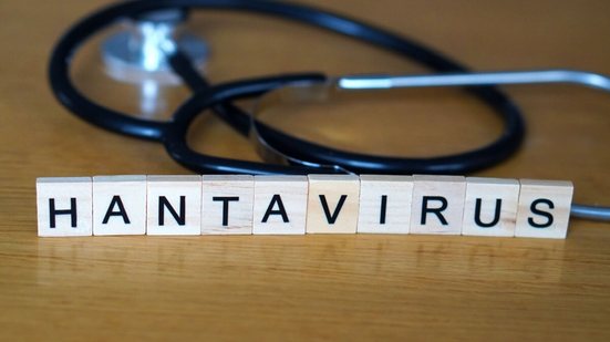 Atenção sobre o hantavírus cresce após novos episódios da doença (Imagem: MGARCIA_CREATIVE | Shutterstock)