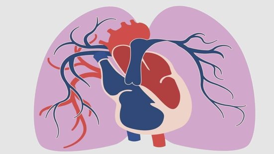 A hipertensão arterial pulmonar é uma doença rara e grave (Imagem: Vinichenko Ihor | Shutterstock)