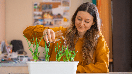 Além de facilitar o acesso a ervas utilizadas no preparo das refeições, a horta doméstica pode deixar os ambientes mais bonitos e acolhedores (Imagem: Elena Shishkina | Shutterstock)