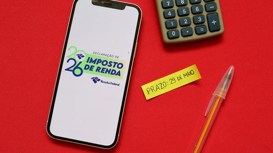 Organização dos documentos e conferência das informações são essenciais para evitar transtornos na declaração do Imposto de Renda (Imagem: Blossom Stock Studio | Shutterstock)