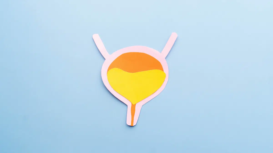 A incontinência urinária pode ter diferentes causas e deve ser investigada para definir o tratamento adequado (Imagem: Orawan Pattarawimonchai | Shutterstock)