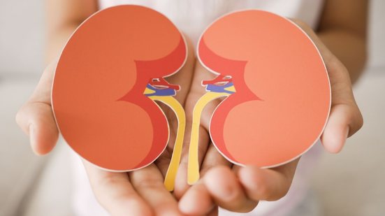 Embora relativamente comum, a infecção nos rins pode se tornar grave quando negligenciada (Imagem: SewCreamStudio | Shutterstock)