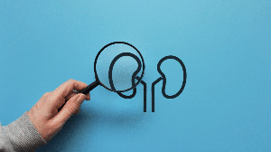 A insuficiência renal crônica pode permanecer silenciosa durante muito tempo (Imagem: Fida Olga | Shutterstock)