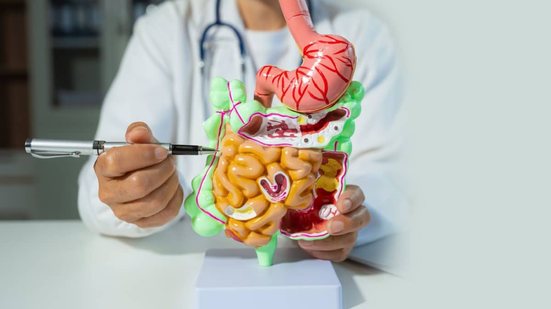Entender a diferença entre intestino irritável e intestino permeável é essencial para evitar tratamentos inadequados (Imagem: THICHA SATAPITANON | Shutterstock)