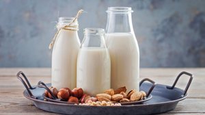 Bebidas vegetais são alternativas para pessoas com intolerância à lactose manterem uma alimentação equilibrada (Imagem: matka_Wariatka | Shutterstock)