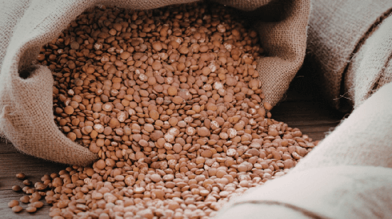 As fibras e as proteínas presentes na lentilha ajudam a prolongar a sensação de saciedade (Imagem: ricardoelinte | Shutterstock)
