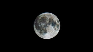 A Lua Cheia em Leão marca um período de revelações, afirmação pessoal e ajustes entre o eu e o coletivo
 (Imagem: Shazumo | Shutterstock)