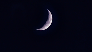 Na tarde de terça-feira, a Lua entra em sua fase Minguante (Imagem: Dara Mi | Shutterstock)