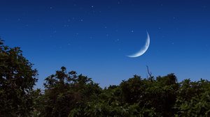 A Lua está na fase Minguante desde o dia 11 de março (Imagem: wachirawut55 | Shutterstock)