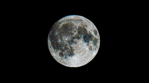 O céu noturno ganha destaque com a presença do astro em sua forma mais iluminada (Imagem: Shazumo | Shutterstock)