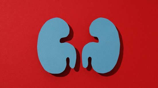 Março Vermelho ganha tom de urgência com projeções da OMS sobre o avanço do câncer renal no Brasil e no mundo (Imagem: AtlasStudio | Shutterstock)